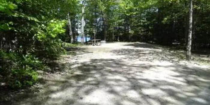 Camper submitted image from Brevoort Lake Campground