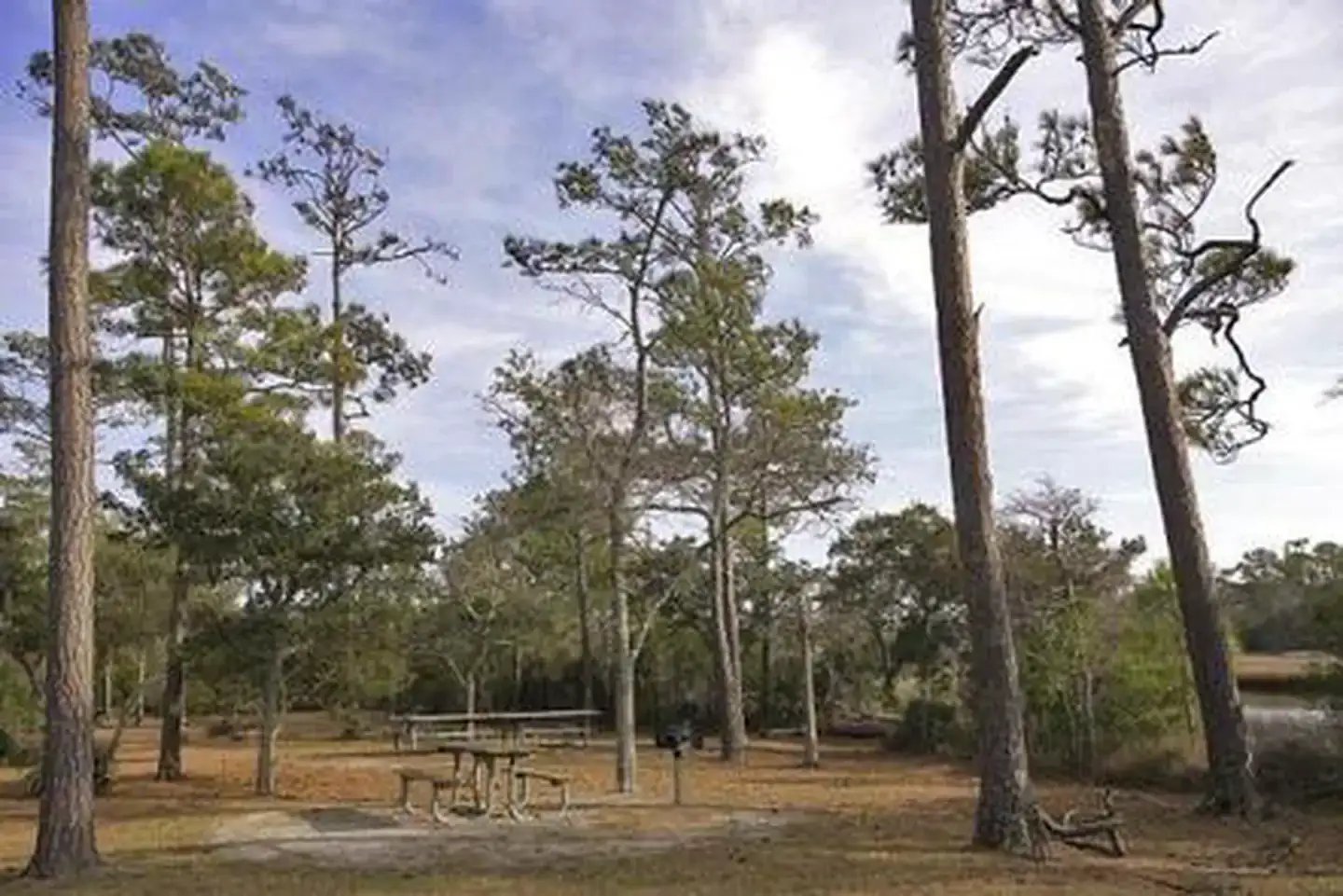 Camper-submitted photo at Cedar Point Campground near Emerald Isle, NC