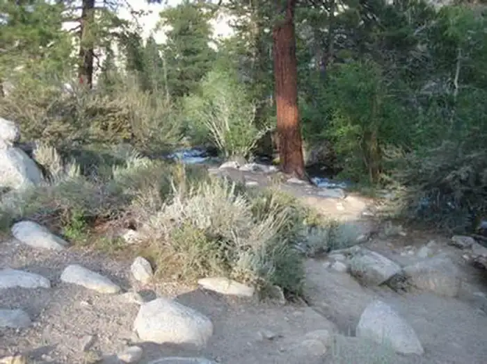 Camper-submitted photo at Bishop Park Group (Ca) — Inyo National Forest near Swall Meadows, CA