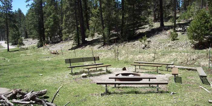 Camper submitted image from Lower Fir Group Campground