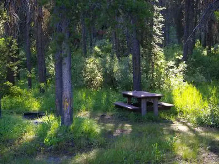 Camper-submitted photo at River Side (id - Boise) near Yellow Pine, ID