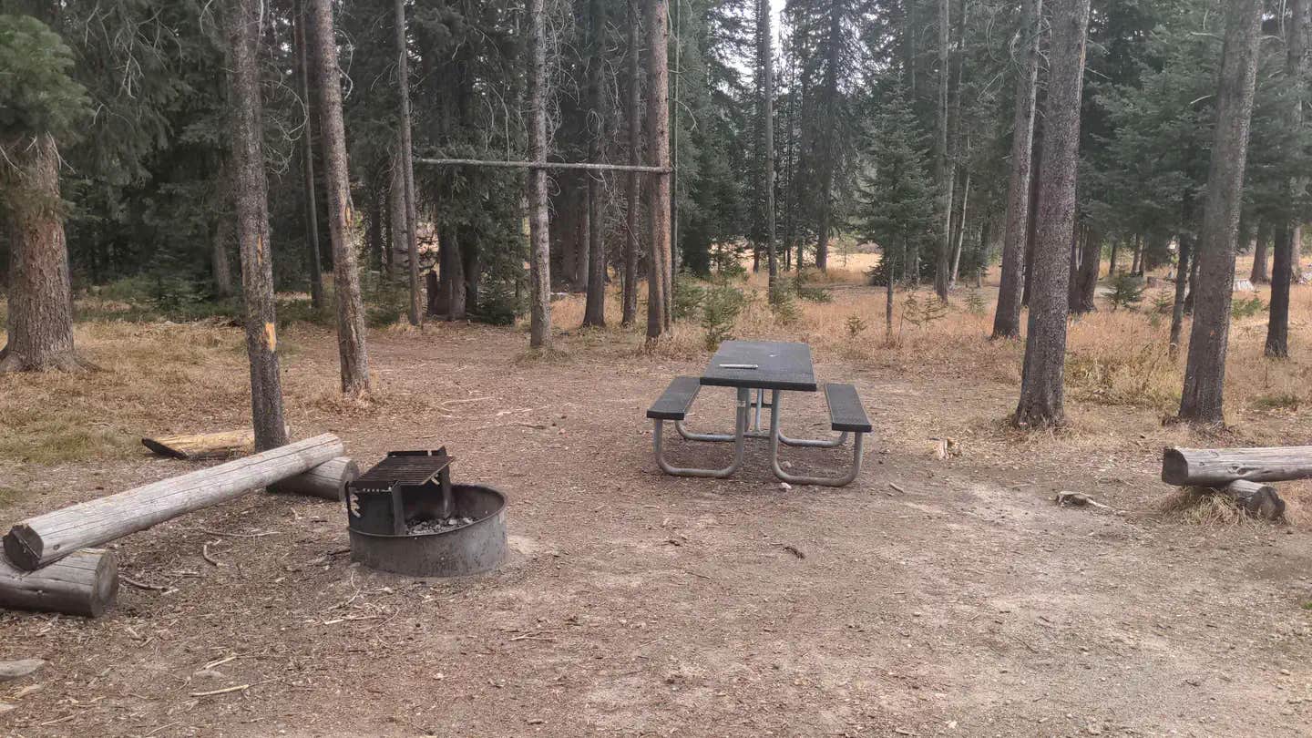 Camper submitted image from Burgdorf Campground - 1