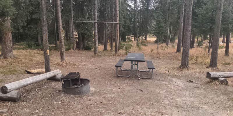 Camper submitted image from Burgdorf Campground