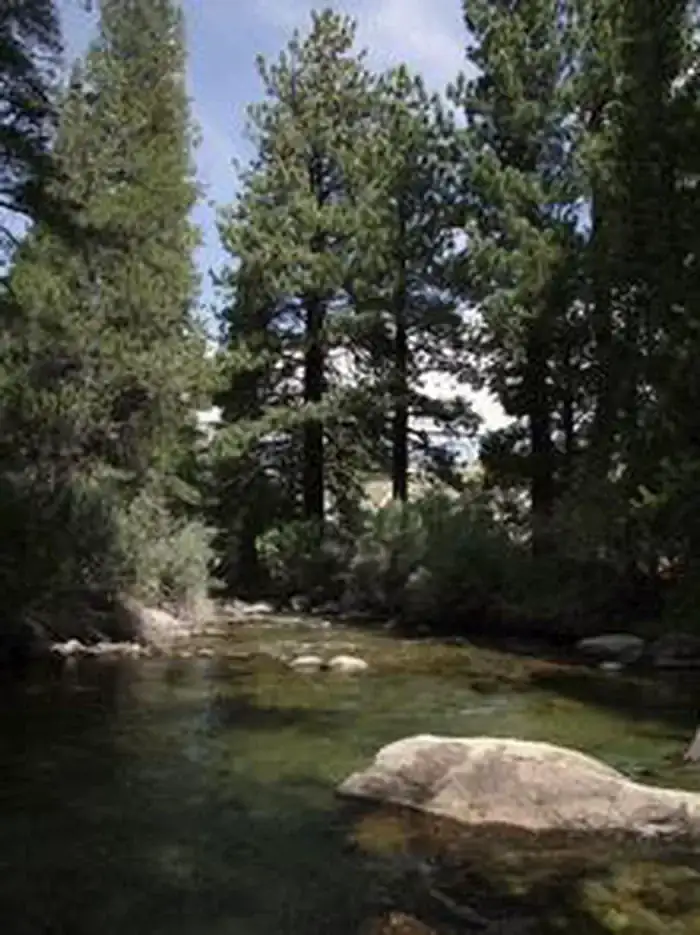 Camper-submitted photo at Paha near Bridgeport, CA