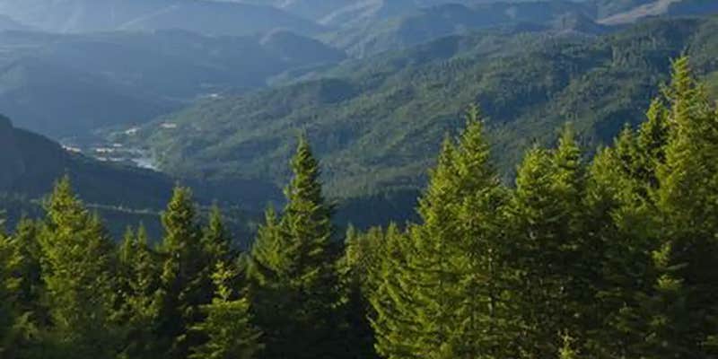 Camper submitted image from Lake Of The Woods Lookout