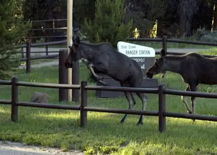 Camper-submitted photo at Stub Creek Cabin - CLOSED FOR 2021 SEASON near Jelm, WY