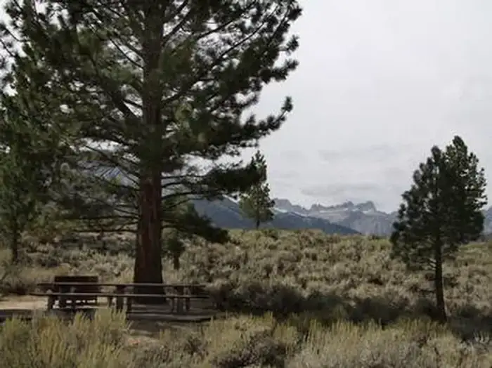 Camper-submitted photo at Paha near Bridgeport, CA