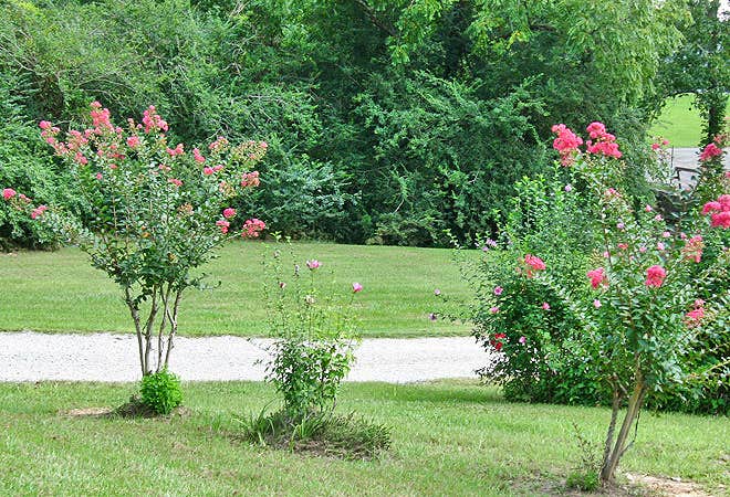 Camper-submitted photo at Thousand Trails Hidden Cove near Arley, AL