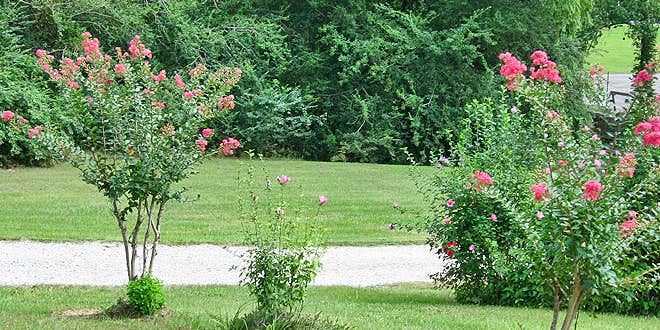 Camper submitted image from Thousand Trails Hidden Cove