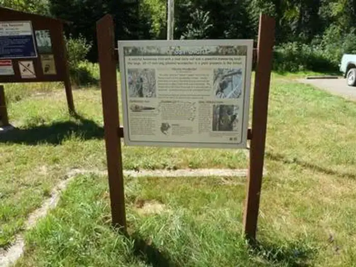 Camper-submitted photo at Coeur d'Alene National Forest Big Hank Campground near Noxon, MT