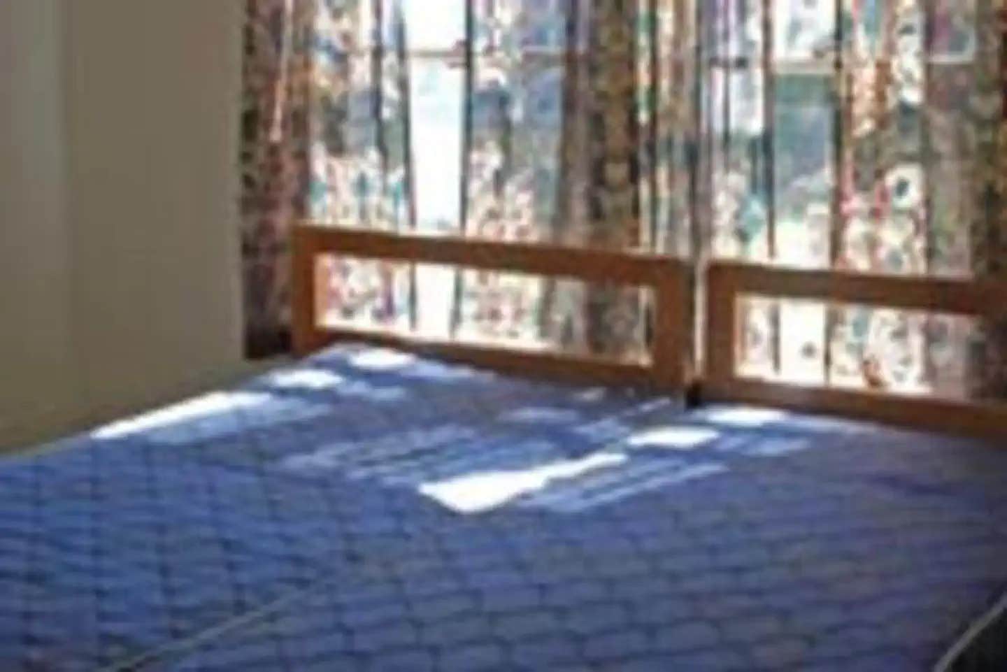 Camper submitted image from Miners Retreat - 1