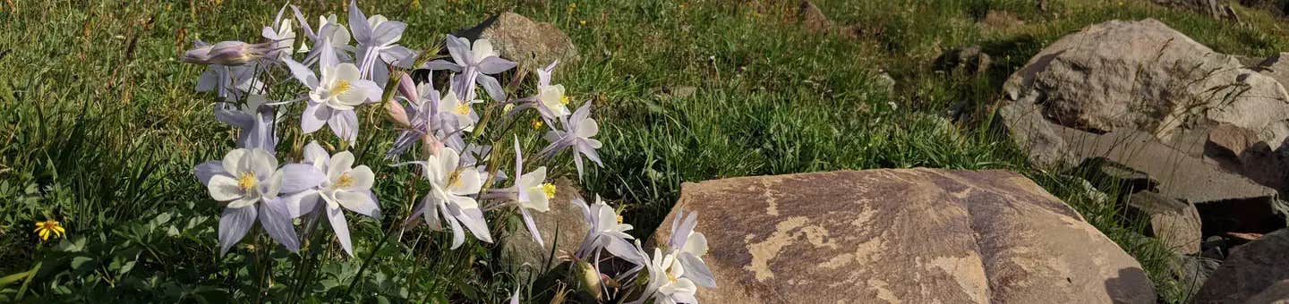 Camper submitted image from Keystone Ranger Station - 1