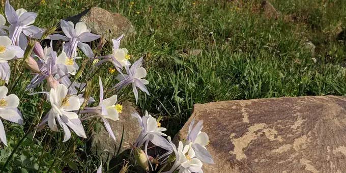 Camper submitted image from Keystone Ranger Station