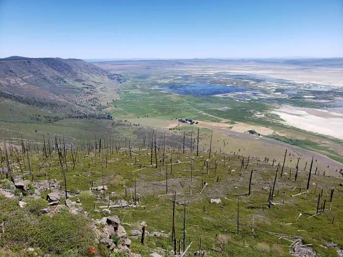 Camper submitted image from Fremont Point Cabin - 1
