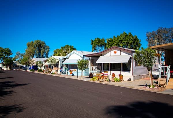 Camper-submitted photo at Encore Araby Acres near Wellton, AZ