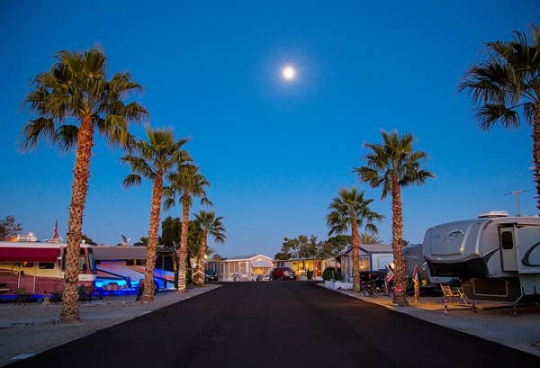 Araby Acres Rv Resort Yuma Az Usa Encore Araby Acres Camping | Yuma, AZ
