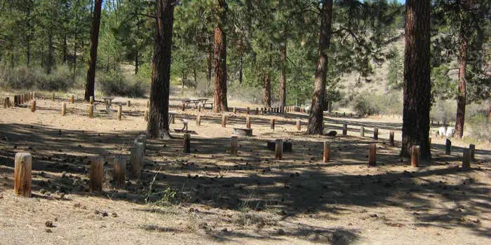 Camper submitted image from Jones Bay Campground — Lake Roosevelt National Recreation Area