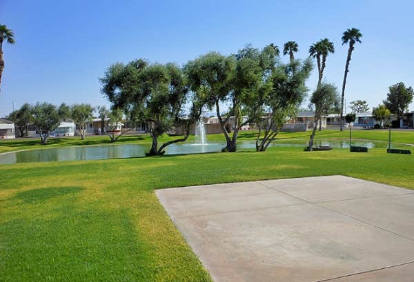 Araby Acres Rv Resort Yuma Az Usa Encore Araby Acres Camping | Yuma, AZ