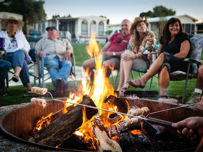 Camper-submitted photo at Encore Araby Acres near Wellton, AZ