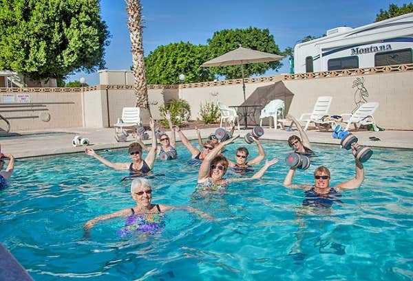 Camper-submitted photo at Encore Cactus Gardens near Wellton, AZ