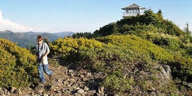 Camper submitted image from Bear Basin Lookout And Cabin