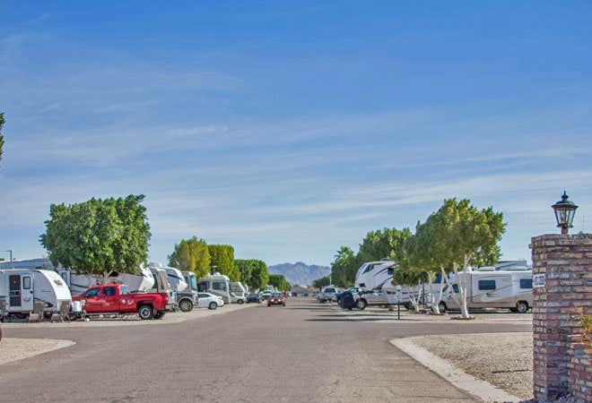The Dyrt's photo of rv camping at Encore Cactus Gardens near Wellton, AZ