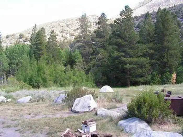 Camper submitted image from Aspen Group Campground - 1