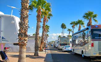 The Dyrt's photo of rv camping at Encore Countryside in Arizona