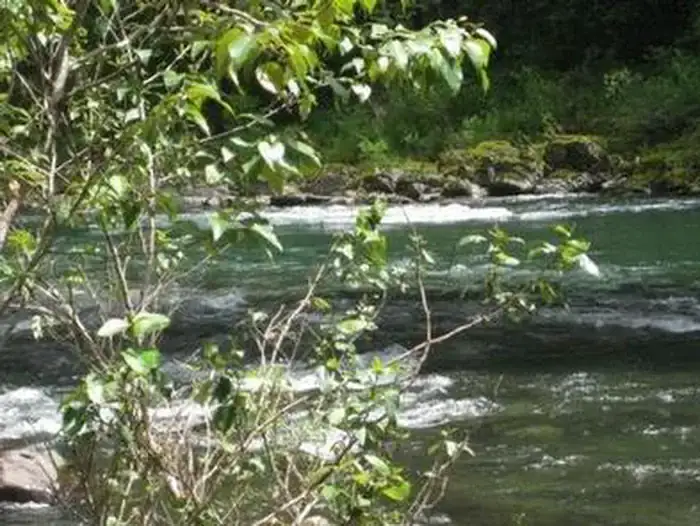 Camper-submitted photo at Mount Hood National Forest Lockaby Campground - TEMP CLOSED DUE TO FIRE DAMAGE near Colton, OR