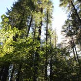 Review photo of Panther Creek Campground by Bjorn S., January 5, 2015