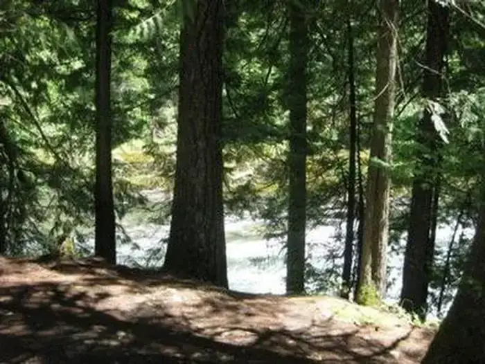 Camper-submitted photo at Mount Hood National Forest Lockaby Campground - TEMP CLOSED DUE TO FIRE DAMAGE near Colton, OR