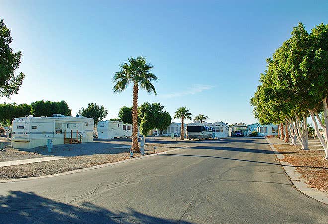 Camper-submitted photo at Encore Desert Paradise near Wellton, AZ