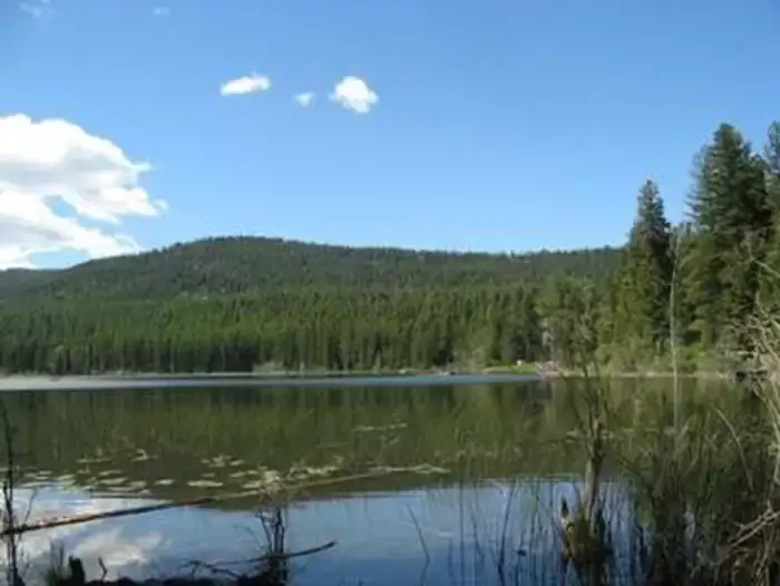 Camper-submitted photo at Lost Lake Group Unit near Wauconda, WA