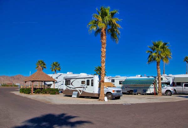 Camper submitted image from Encore Foothill Village - 4