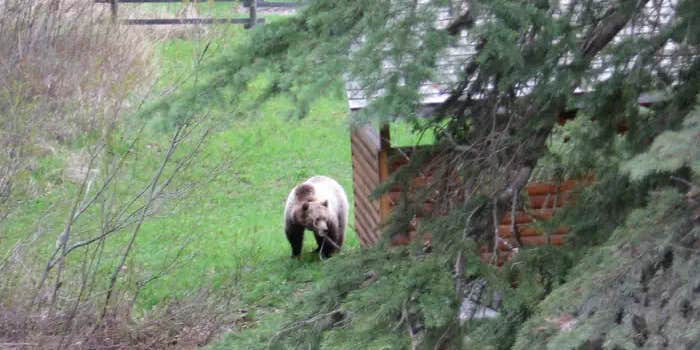 Camper submitted image from Ford Cabin