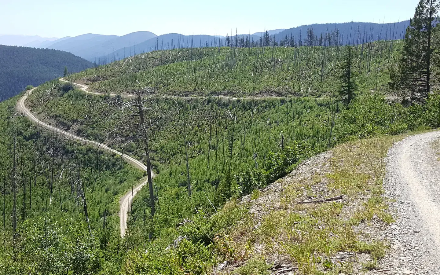 Camper-submitted photo at Hornet Lookout near Polebridge, MT