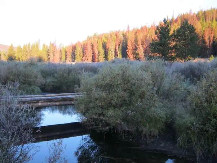 Camper submitted image from May Creek Cabin - 1