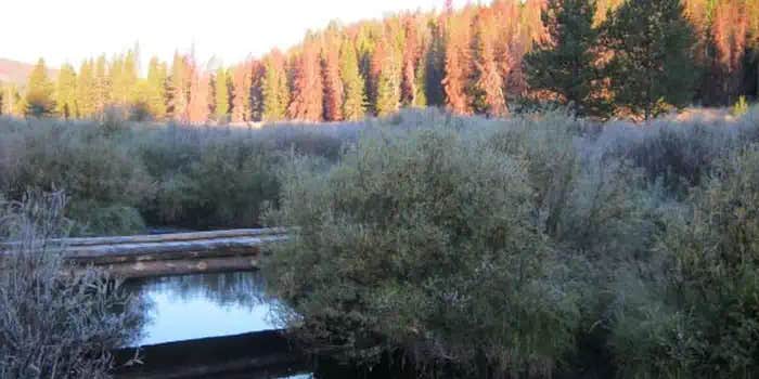 Camper submitted image from May Creek Cabin