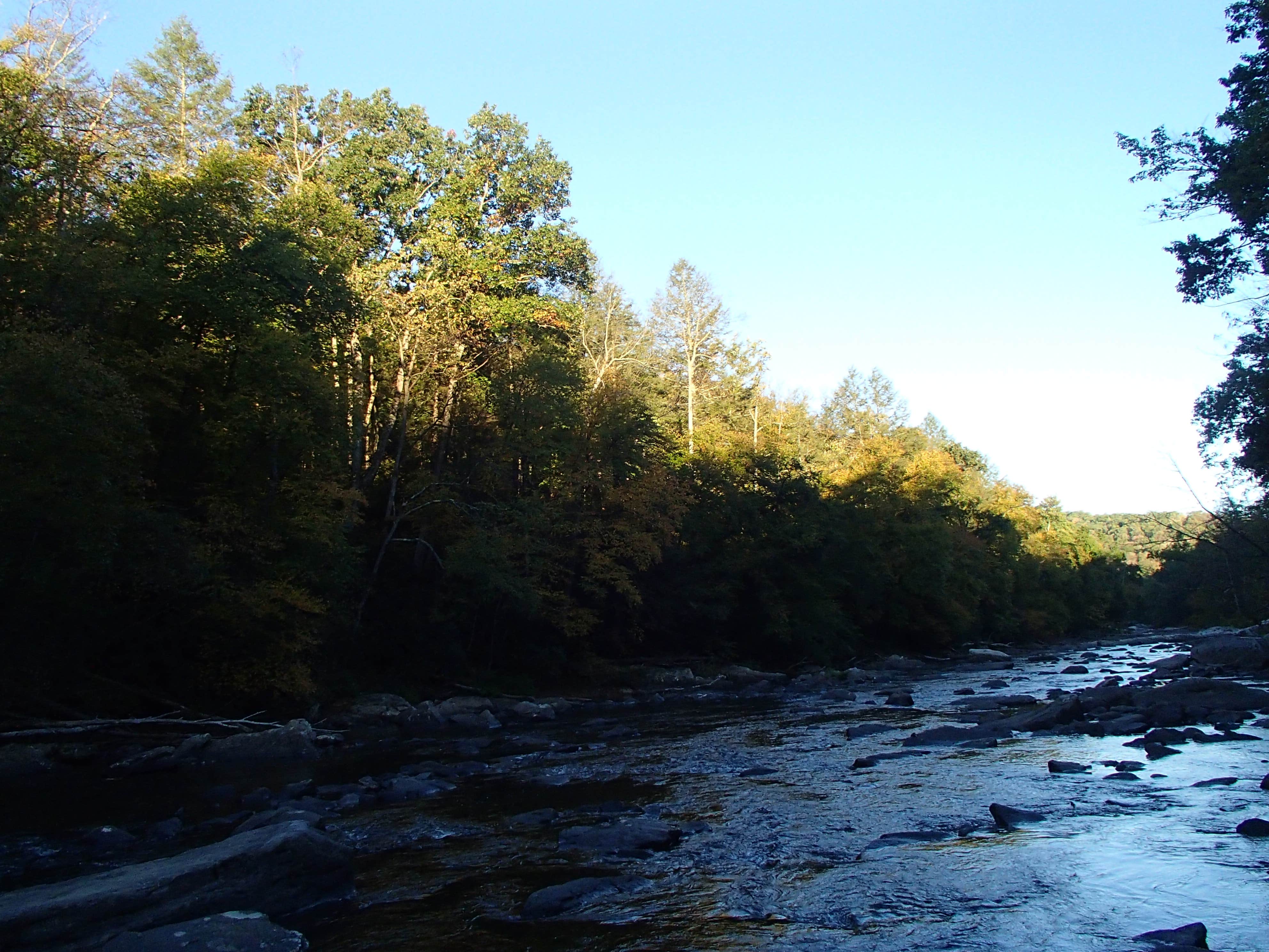 Camper submitted image from Audra State Park Campground - 3