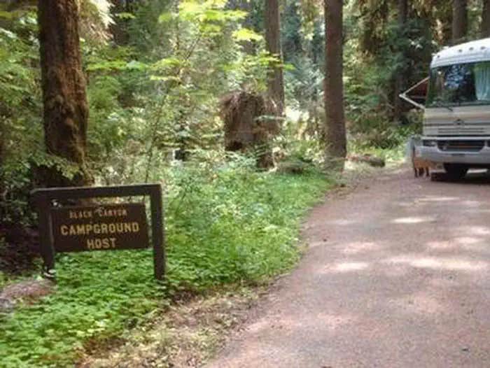 Camper submitted image from Black Canyon Campground - Willamette NF - 1