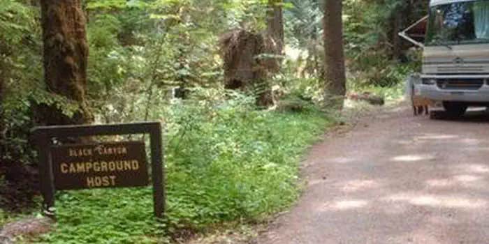 Camper submitted image from Black Canyon Campground - Willamette NF