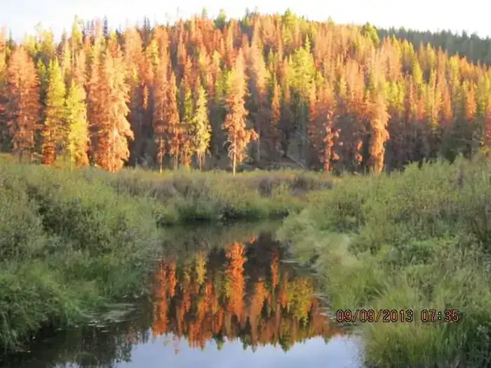 Camper-submitted photo at May Creek Cabin near Cobalt, ID