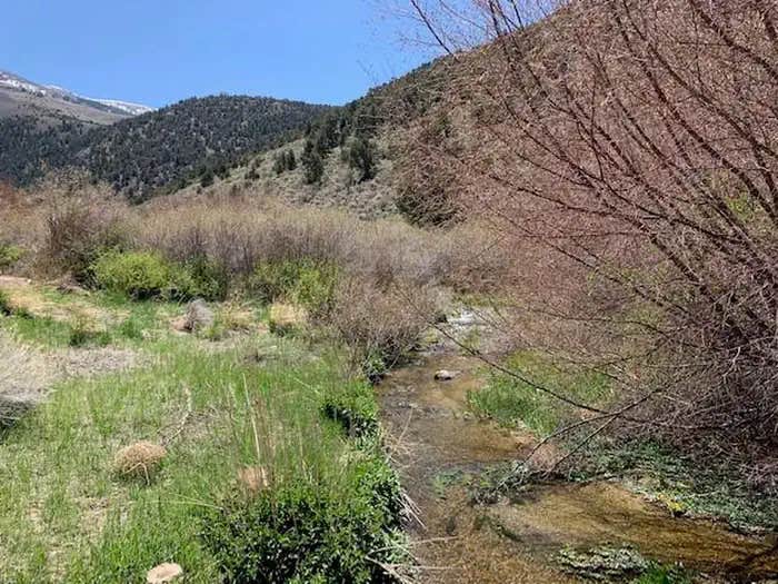 Camper submitted image from Bird Creek Campground - 1