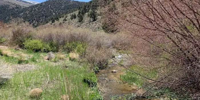 Camper submitted image from Bird Creek Campground