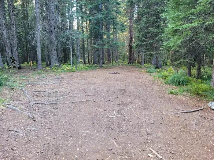 Camper submitted image from Fish Creek Group Use - 1