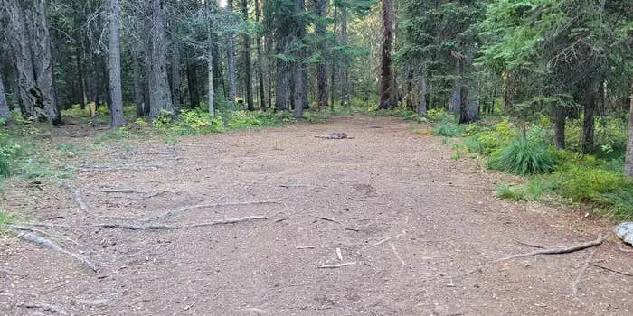 Camper submitted image from Fish Creek Group Use