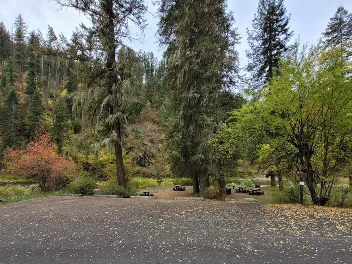 Camper submitted image from South Fork Group Site 5 - Nez Perce Nf (ID) - 1