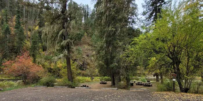 Camper submitted image from South Fork Group Site 5 - Nez Perce Nf (ID)