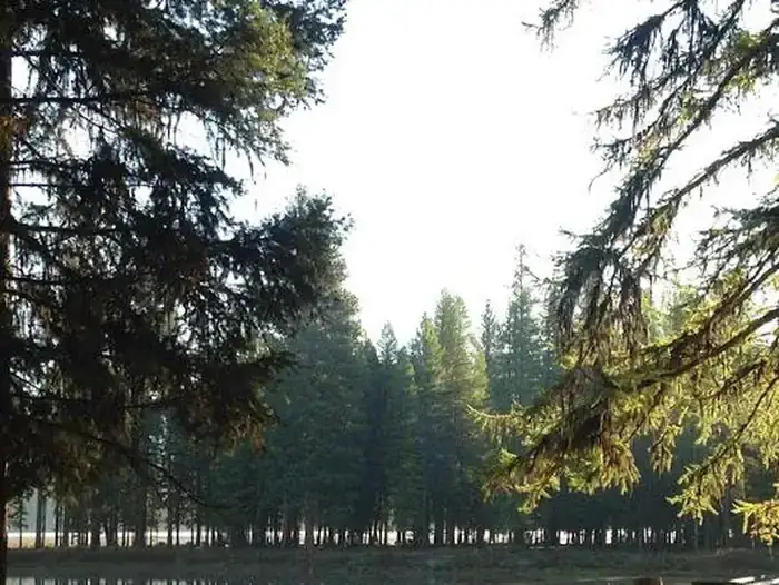 Camper-submitted photo at River Point Lolo Campground (Mt) — Lolo National Forest near Seeley Lake, MT