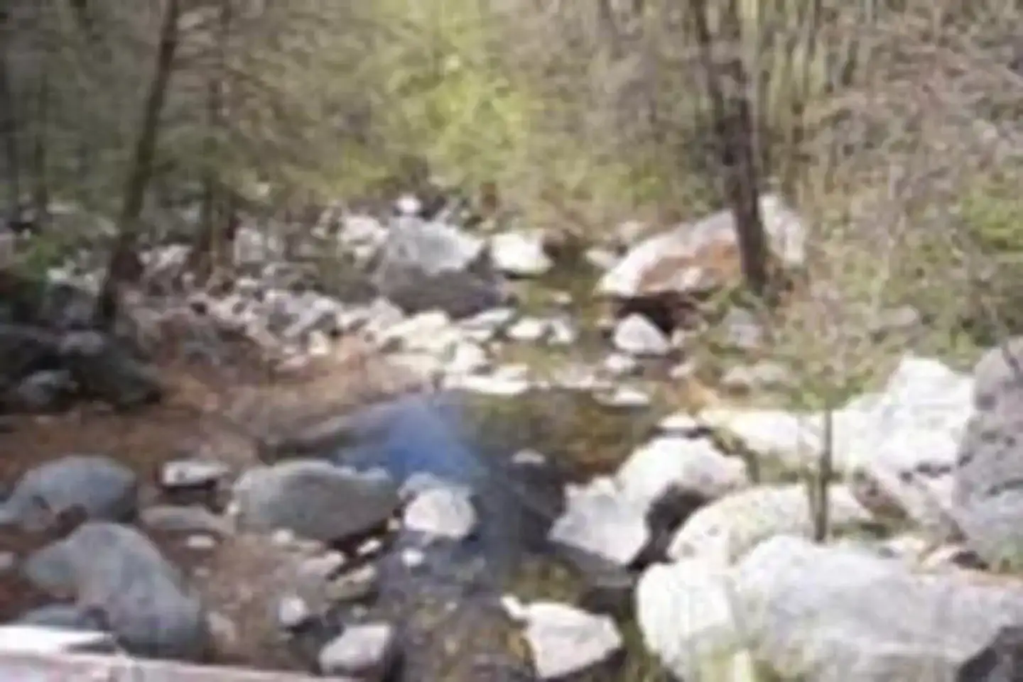 Camper-submitted photo at Sequoia National Forest Coy Flat Campground near Springville, CA